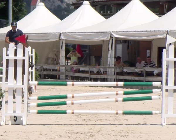 Reitturnier Balsthal 2025