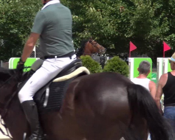 Reitturnier Balsthal 2025