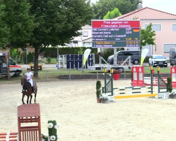 Reitturnier Ingolstadt-Hagau/Obb. 2025