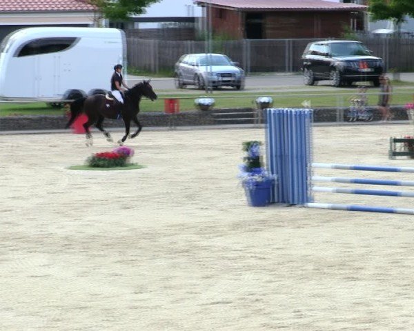 Reitturnier Ingolstadt-Hagau/Obb. 2025
