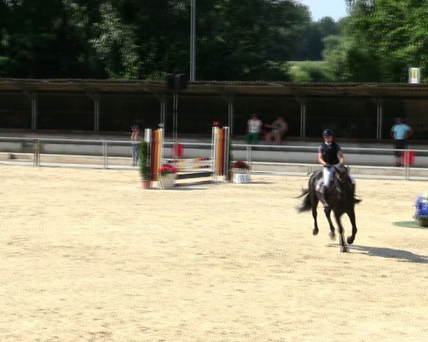 Reitturnier Ingolstadt-Hagau/Obb. 2025