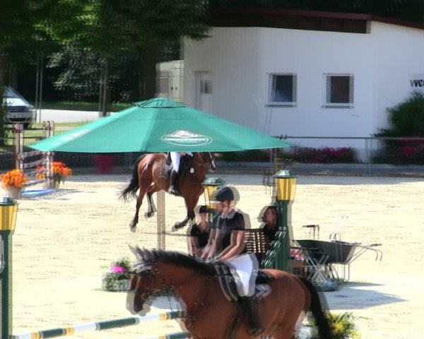 Reitturnier Ingolstadt-Hagau/Obb. 2025