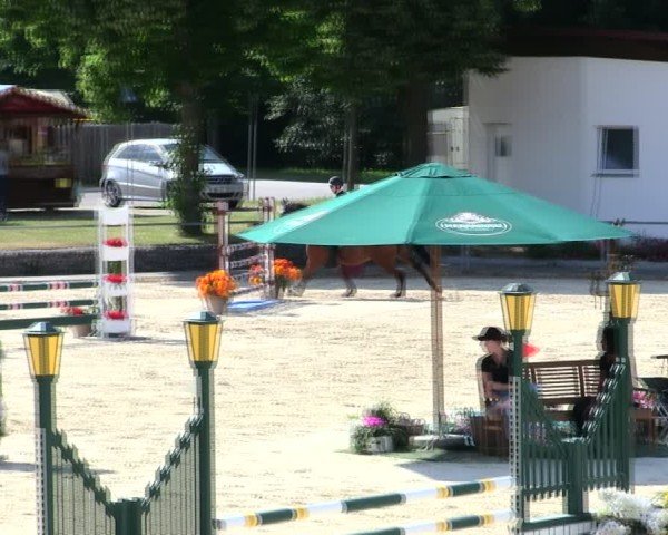 Reitturnier Ingolstadt-Hagau/Obb. 2025