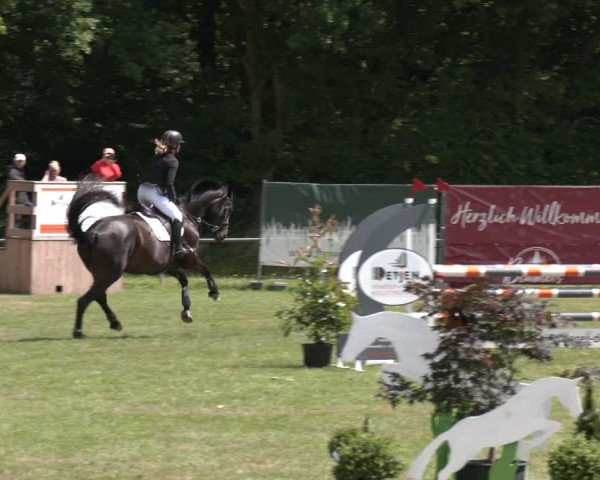 Reitturnier Wohlesbostel 2025