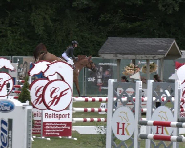 Reitturnier Wohlesbostel 2025