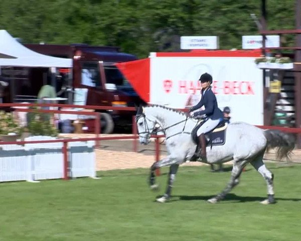 Bremen - Reitanlage Forkert 2014