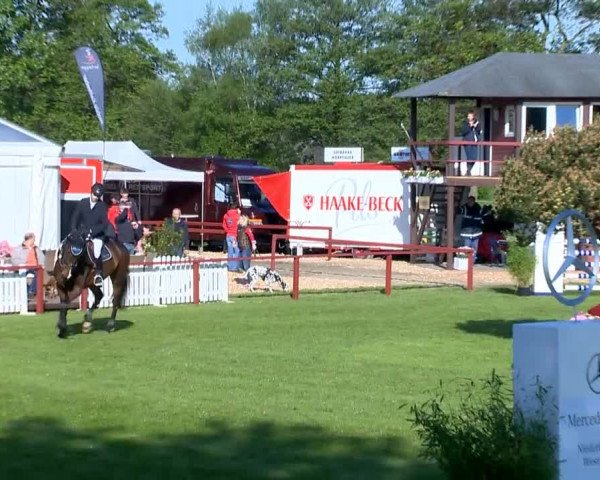 Bremen - Reitanlage Forkert 2014