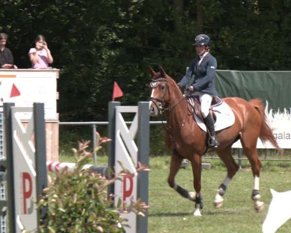Reitturnier Wohlesbostel 2025
