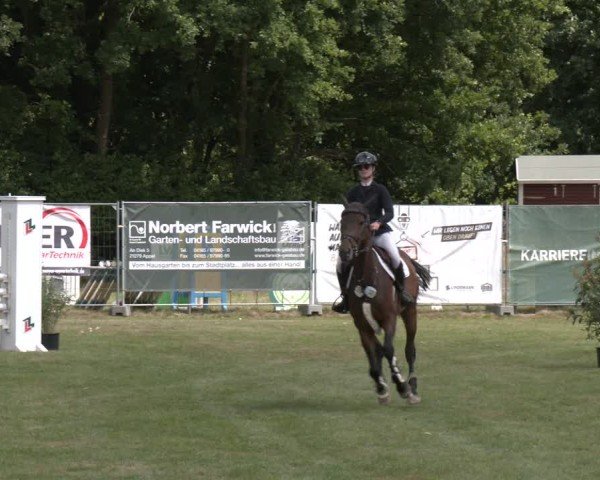 Reitturnier Wohlesbostel 2025