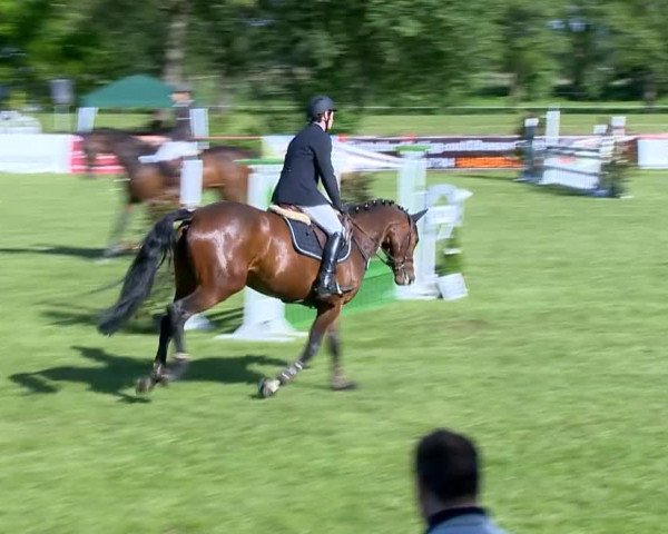 Bremen - Reitanlage Forkert 2014