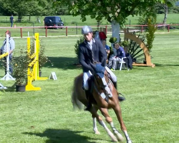 Bremen - Reitanlage Forkert 2014