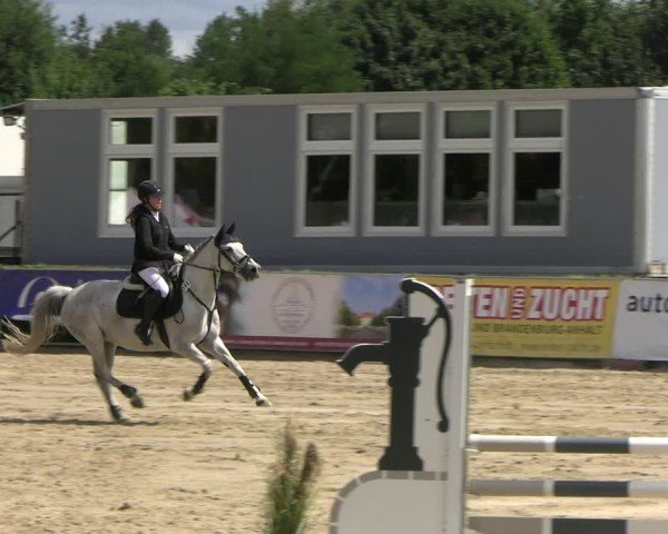 Reitturnier Neustadt/Dosse 2025