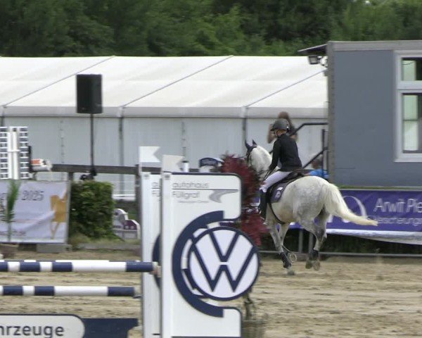 Reitturnier Neustadt/Dosse 2025