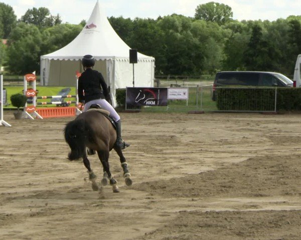 Reitturnier Neustadt/Dosse 2025