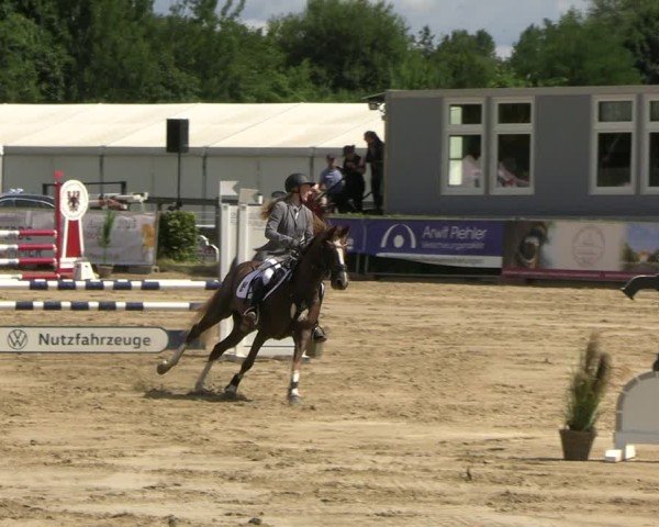 Reitturnier Neustadt/Dosse 2025