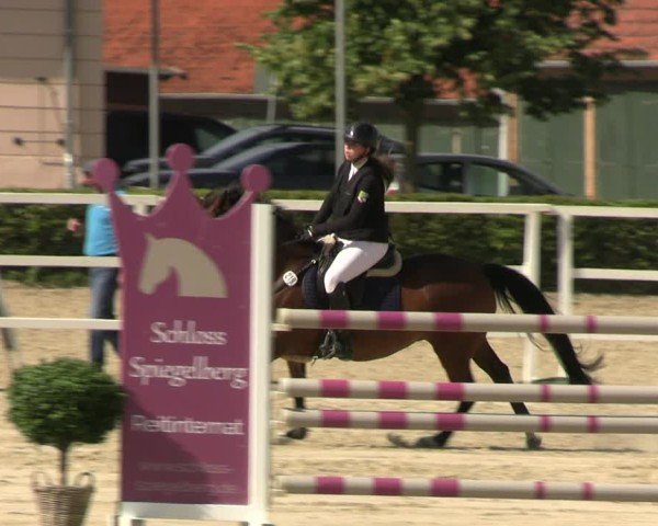 Reitturnier Neustadt/Dosse 2025
