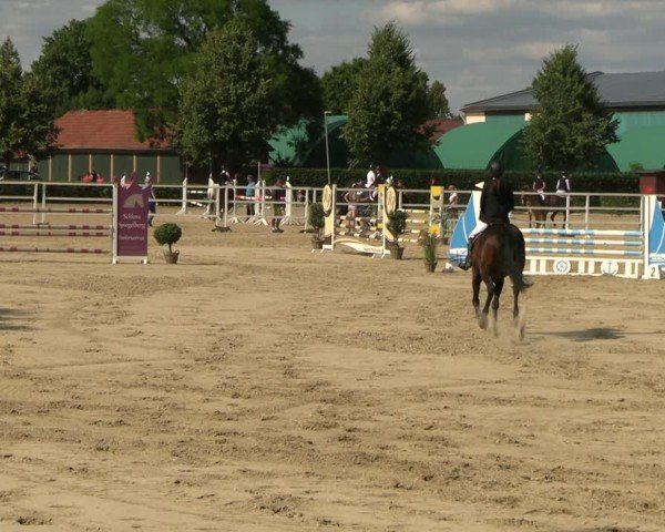 Reitturnier Neustadt/Dosse 2025