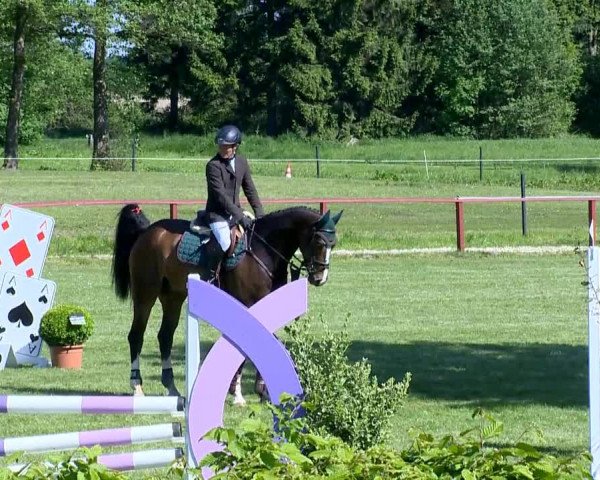 Bremen - Reitanlage Forkert 2014