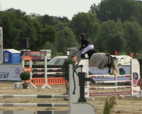 Reitturnier Neustadt/Dosse 2025
