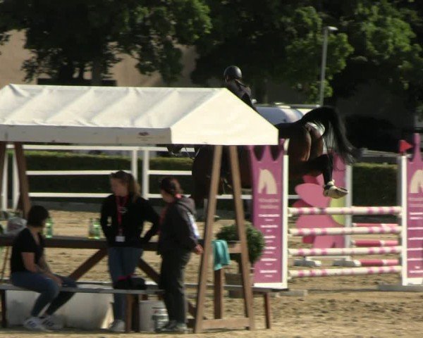 Reitturnier Neustadt/Dosse 2025
