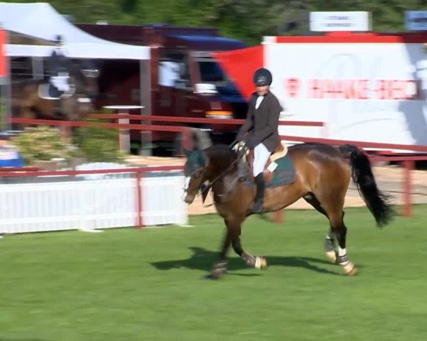 Bremen - Reitanlage Forkert 2014
