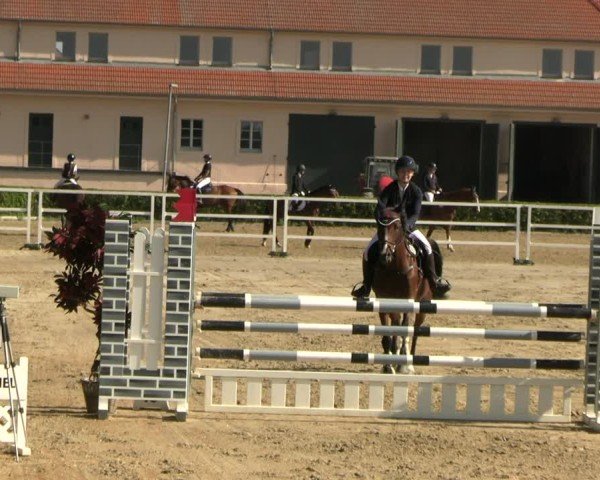 Reitturnier Neustadt/Dosse 2025