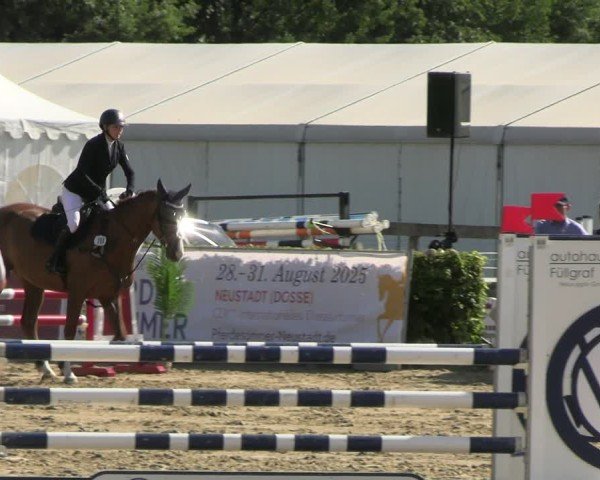Reitturnier Neustadt/Dosse 2025