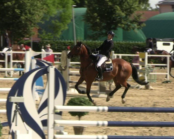 Reitturnier Neustadt/Dosse 2025