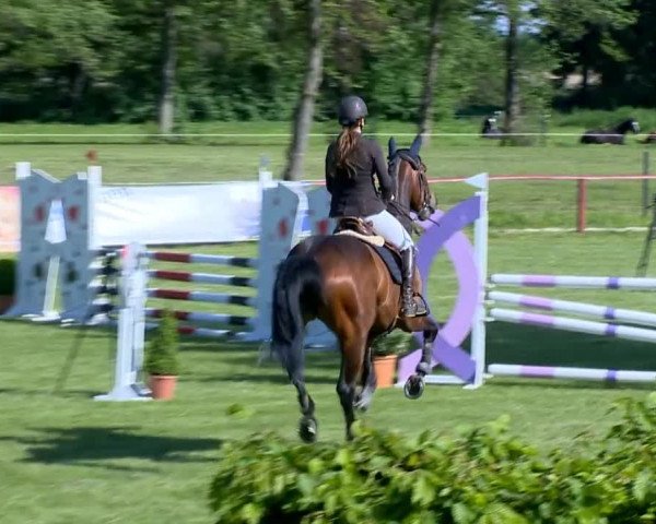 Bremen - Reitanlage Forkert 2014