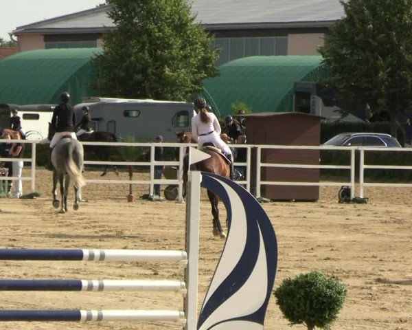 Reitturnier Neustadt/Dosse 2025