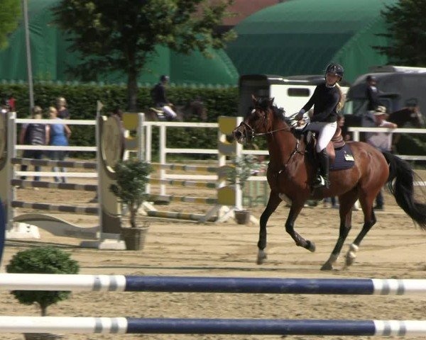 Reitturnier Neustadt/Dosse 2025