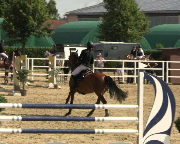 Reitturnier Neustadt/Dosse 2025