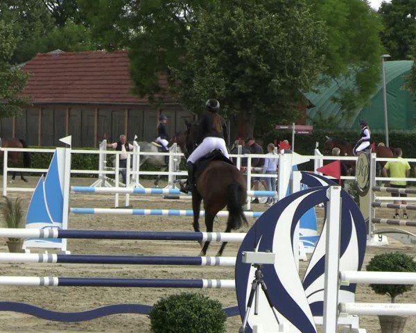Reitturnier Neustadt/Dosse 2025