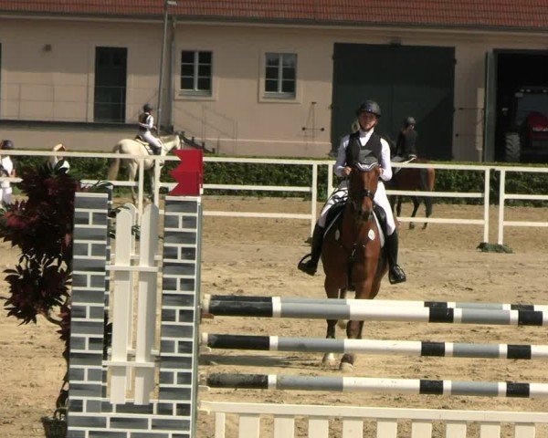 Reitturnier Neustadt/Dosse 2025