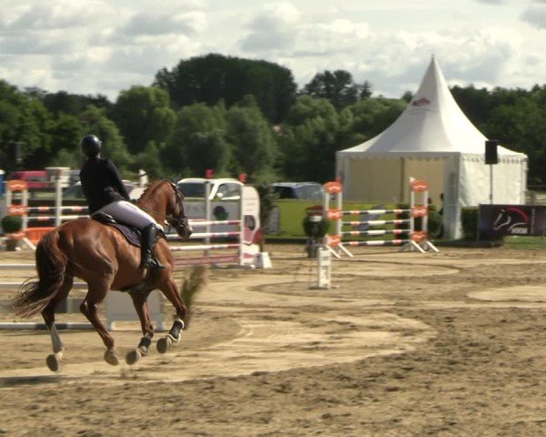 Reitturnier Neustadt/Dosse 2025