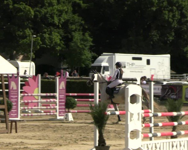 Reitturnier Neustadt/Dosse 2025