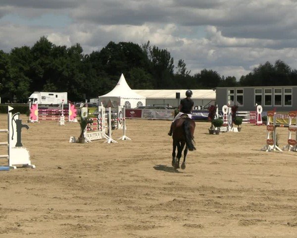 Reitturnier Neustadt/Dosse 2025
