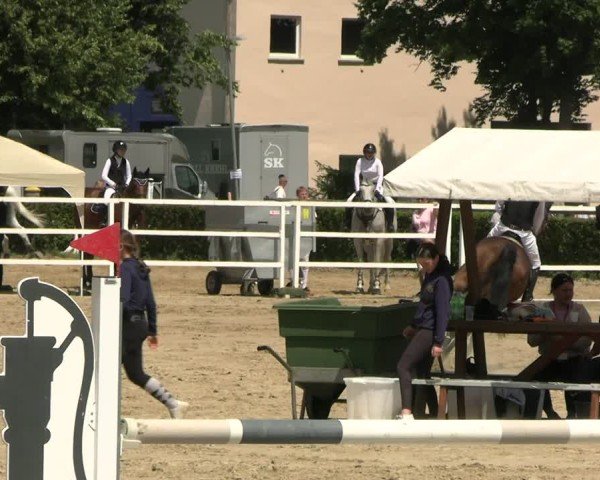 Reitturnier Neustadt/Dosse 2025