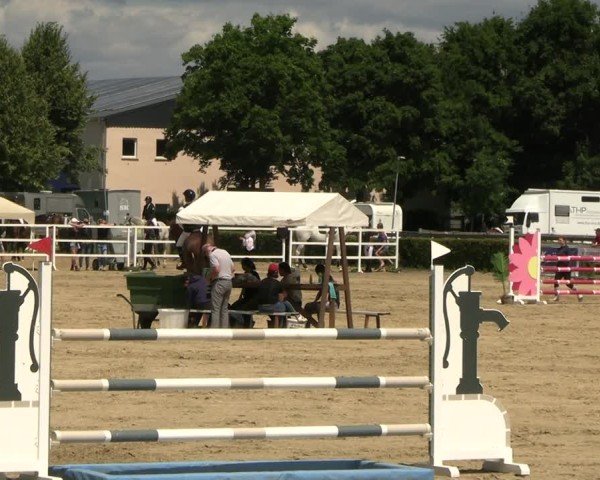 Reitturnier Neustadt/Dosse 2025