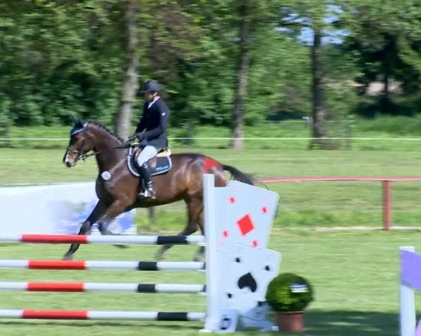 Bremen - Reitanlage Forkert 2014
