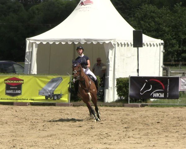 Reitturnier Neustadt/Dosse 2025