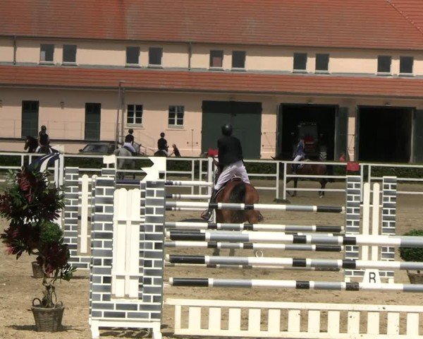 Reitturnier Neustadt/Dosse 2025