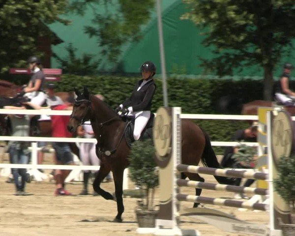 Reitturnier Neustadt/Dosse 2025