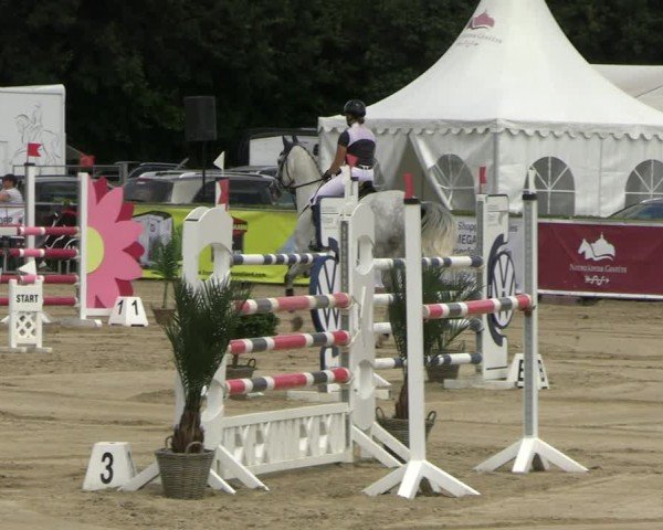 Reitturnier Neustadt/Dosse 2025
