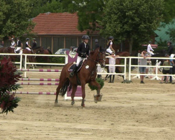 Reitturnier Neustadt/Dosse 2025