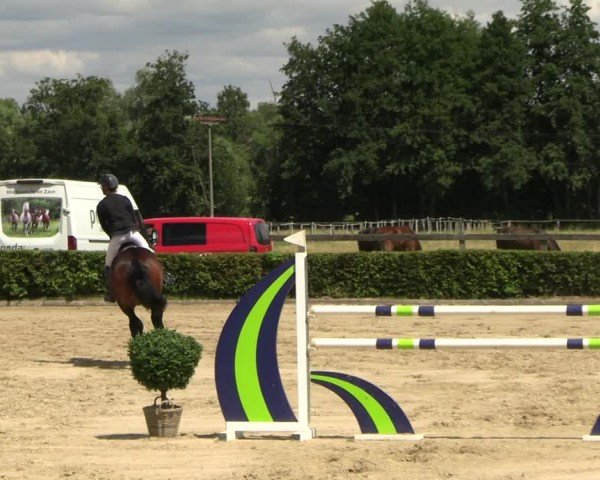 Reitturnier Neustadt/Dosse 2025