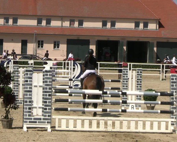 Reitturnier Neustadt/Dosse 2025
