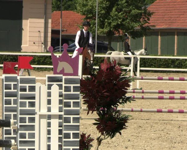 Reitturnier Neustadt/Dosse 2025