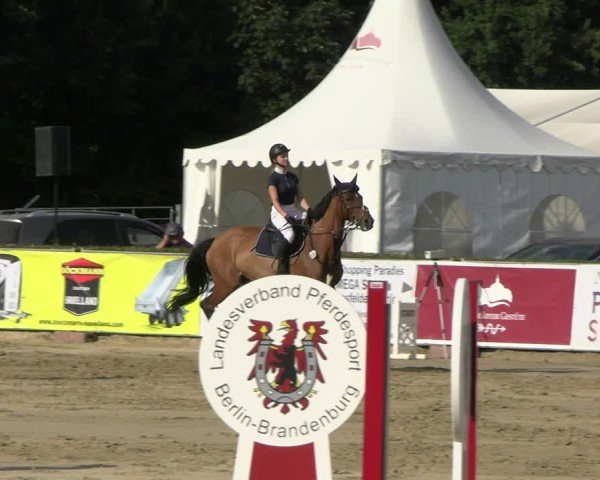 Reitturnier Neustadt/Dosse 2025