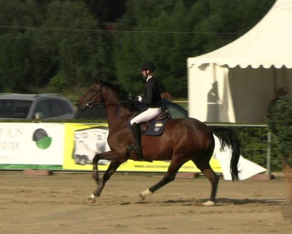 Reitturnier Neustadt/Dosse 2025